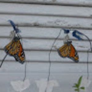 Meet your Posher, Kristine